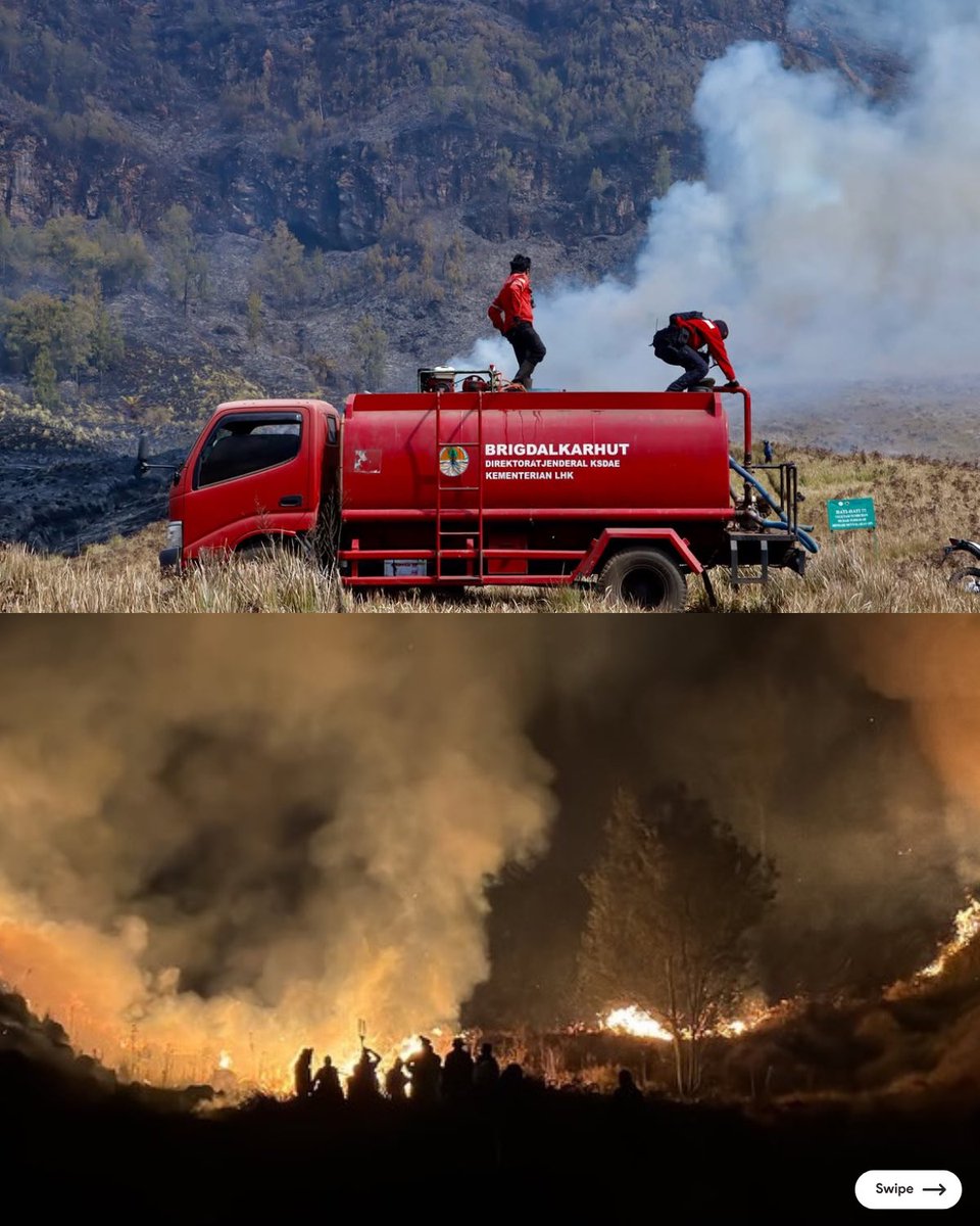 Malangraya_info's tweet photo. Begini perjuangan tim gabungan dalam memadamkan kebakaran yang terjadi di kawasan Bromo.
.
.
📷 bbtnbromotenggersemeru https://t.co/6yUzdTsuTE