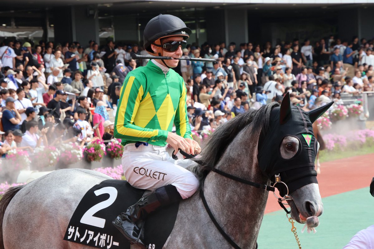 7YLDplhXUlhMimQ's tweet photo. 今日見た鼻先縛ってあるやつなんやろか🤔

サトノアイボリー＆コレットJ🥈
26/08/09 中京6R 浜名湖特別 https://t.co/wVWjkaBvUb