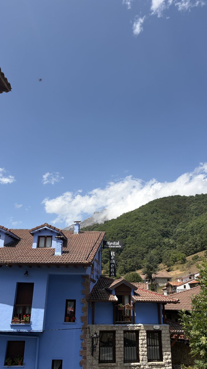 Hostalremona's tweet photo. Si quieres disfrutar de estas vistas ven al Hostal Remoña 📍 https://t.co/VLyInkdtbR
