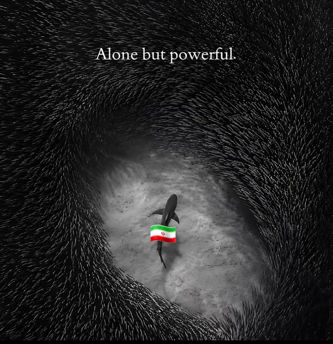 IRANinKENYA's tweet photo. Alone but powerful https://t.co/vOTG65jmYY
