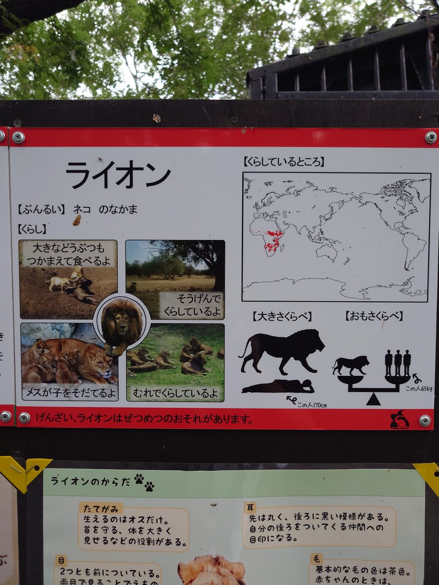 200kemono's tweet photo. おびひろ動物園の種名看板。
スタンダードな大人用と写真とイラストでわかりやすい子ども向けが併用されており、枠の色で絶滅の恐れもわかりやすい
情報たっぷりながら、整理されとても見やすいぞ
北海道、おびひろ動物園より https://t.co/dkGPUW725h