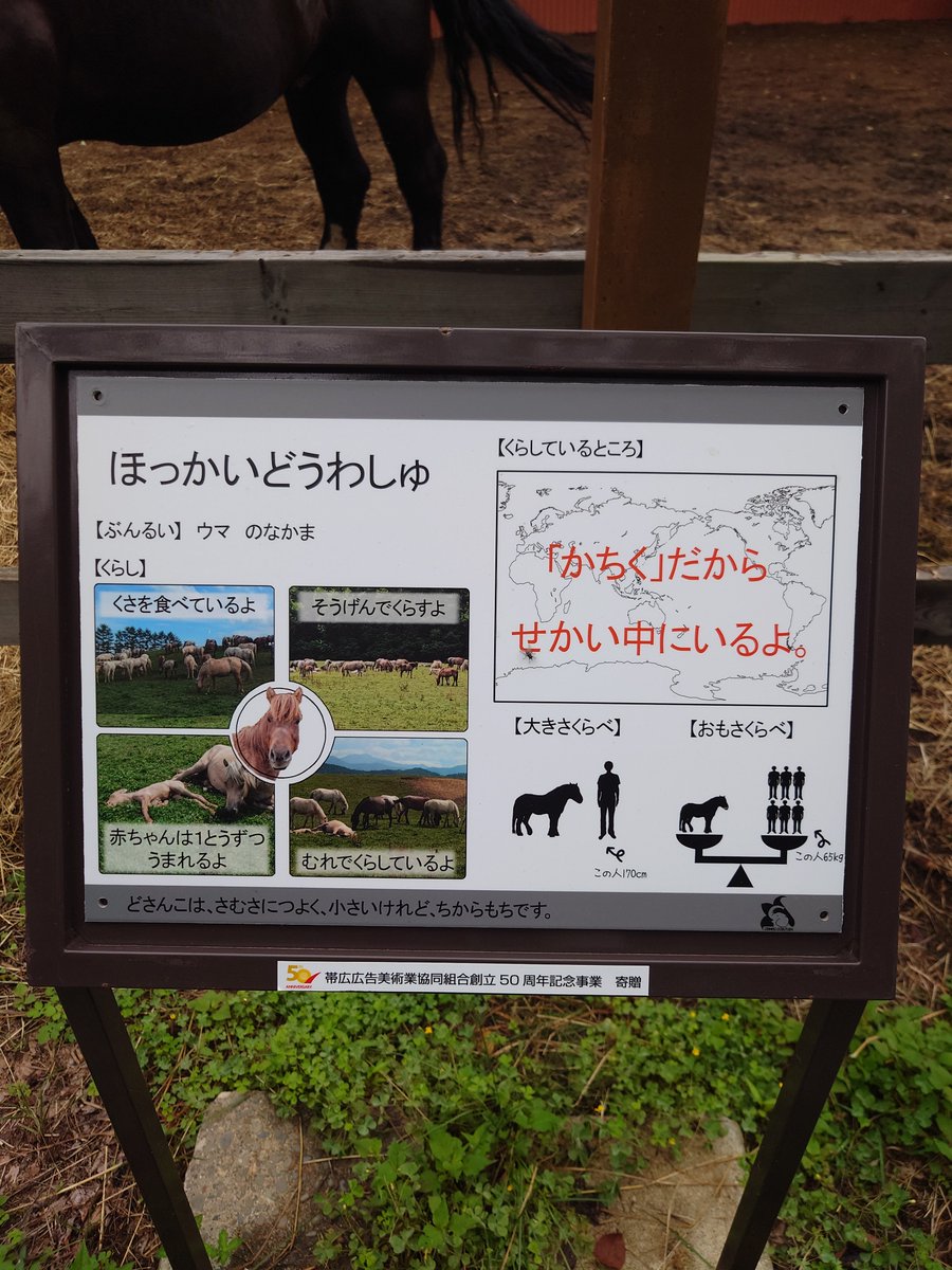 200kemono's tweet photo. おびひろ動物園の種名看板。
スタンダードな大人用と写真とイラストでわかりやすい子ども向けが併用されており、枠の色で絶滅の恐れもわかりやすい
情報たっぷりながら、整理されとても見やすいぞ
北海道、おびひろ動物園より https://t.co/dkGPUW725h