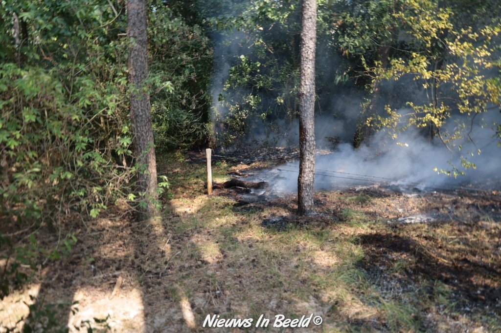 marcomoonnin's tweet photo. #Bosbrand uitgebroken aan de Schapendrift in #Soesterduinen. #Soest #Bosbrand https://t.co/TCrPEpLXyC