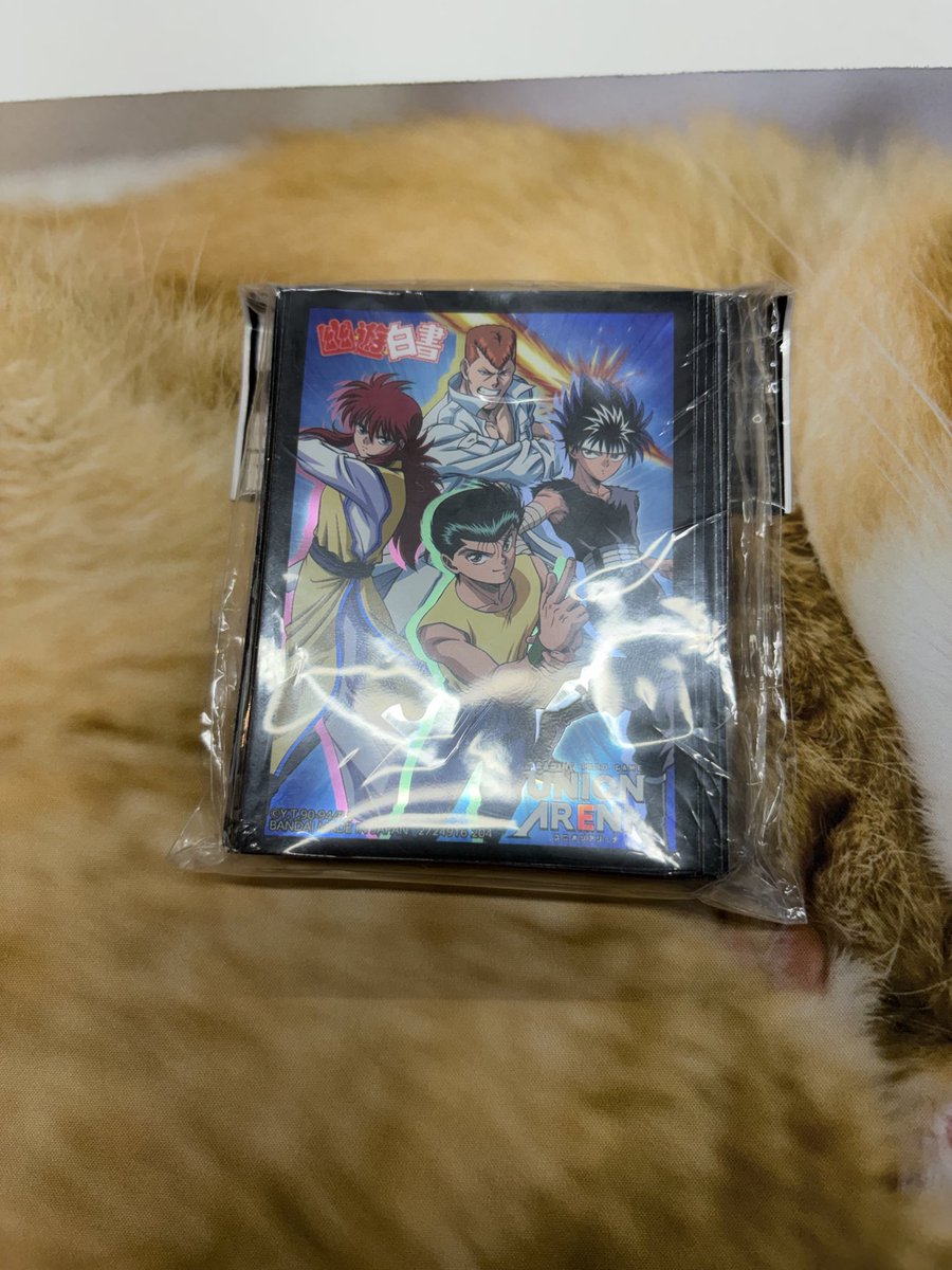 315Toyo's tweet photo. 月下cs ポイント制
デッキ:メレオレオナ
1.キン肉マン✕ チ✕
2.ガメラ✕ チ〇
3.エアキャバ(相手0事故)〇 チ〇
4.赤テイルズ〇 チ〇
5.ガメラ✕ チ✕
4pt脱法SE
1.ガメラ〇 チ〇
2.戸愚呂✕ チ✕
久々のSE残りで満足
ビンゴ童貞も卒業出来たしメレオレオナ使えたし言うことない https://t.co/3ZfH0dSTTq