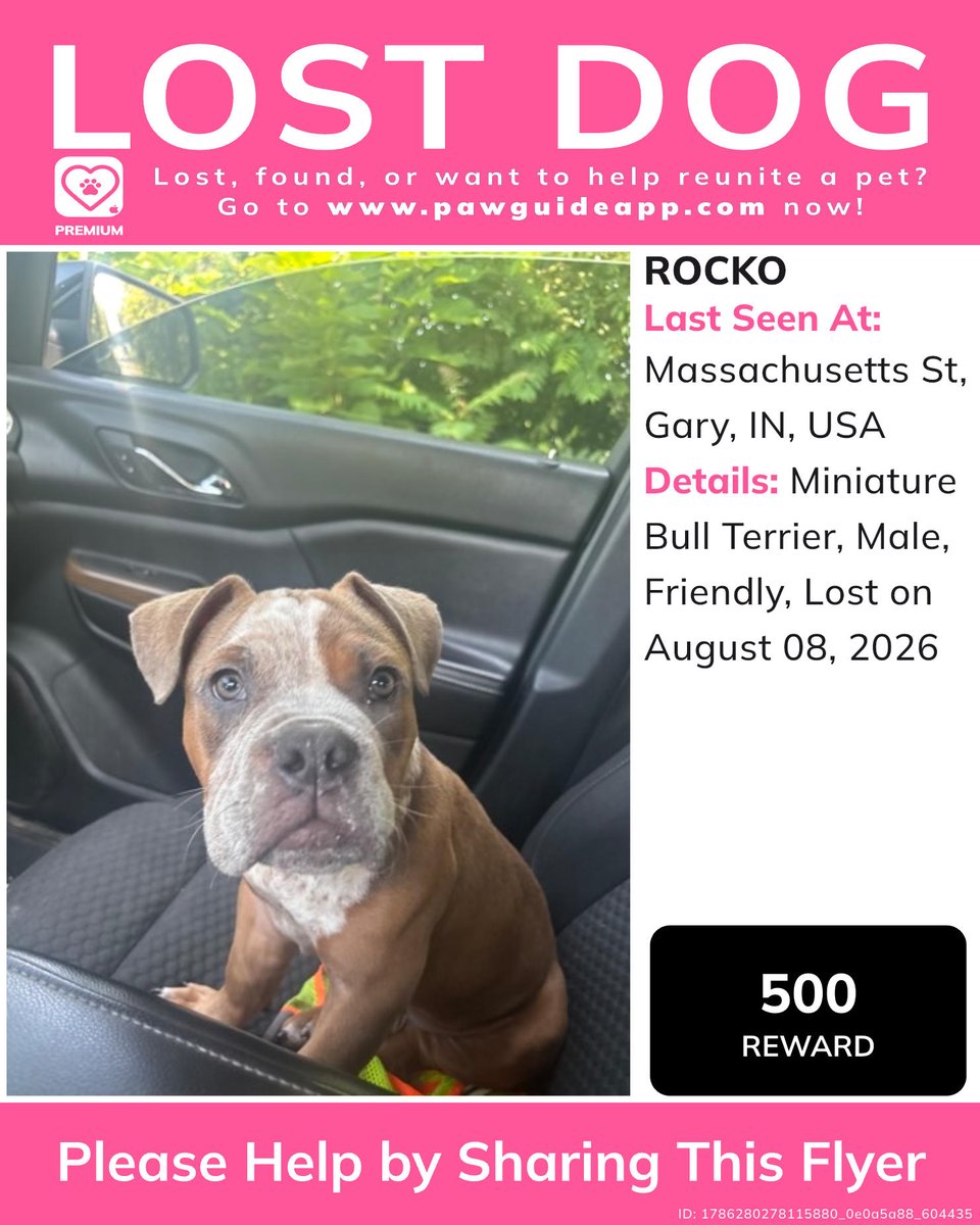 Pawguideapp's tweet photo. Please spread the word! If you have any information, please comment below.
Lost or found a pet? Report it quickly on Paw Guide.#lostdog #missingdog #lostdogingary #lostdoggaryin #missingdoggaryin #lostminiaturebullterriergaryin #lostminiaturebullterrier #lostpet #pawguide #min... https://t.co/mu4pNUDx54