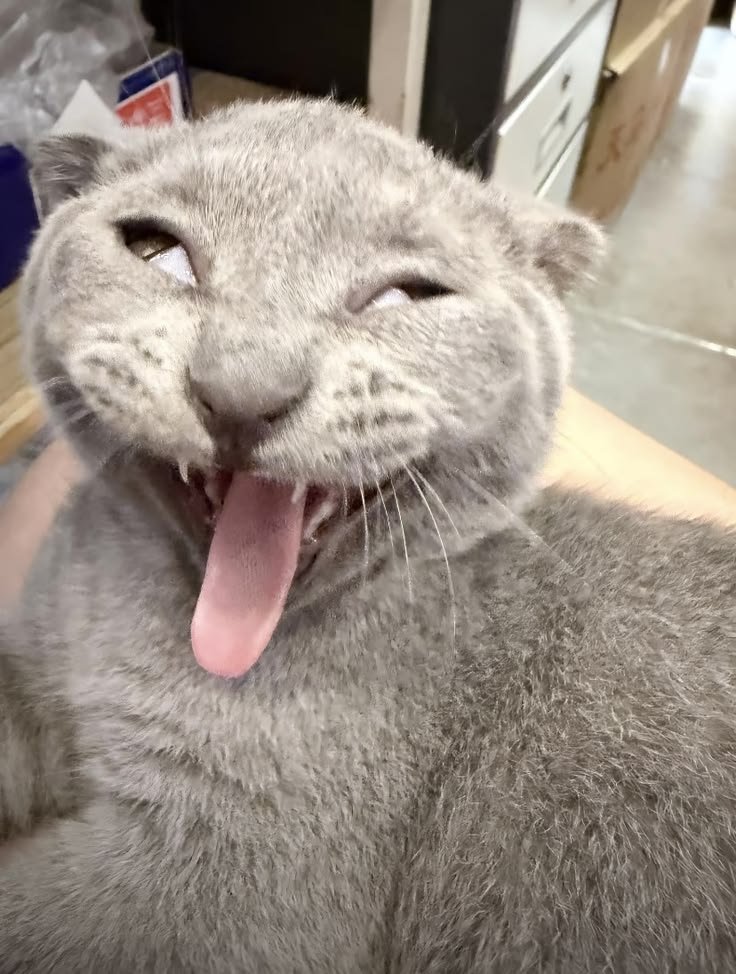 FadlyPlnt's tweet photo. Yaaahahahahhahhh.... besok Senin https://t.co/KMVv52jBd9