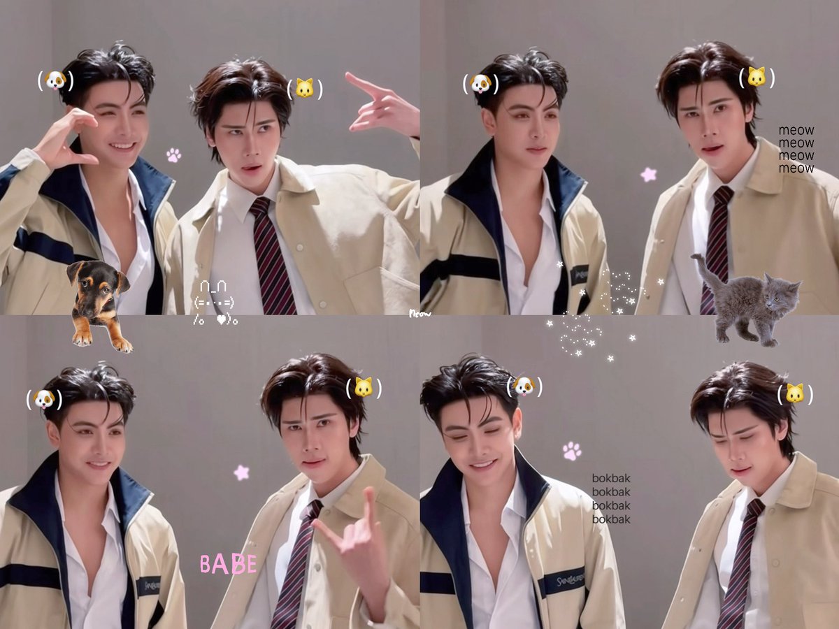 justmpx's tweet photo. bokbak and meow . 🐾

꒰ #จุงดัง #JoongDunk ꒱♡ https://t.co/nYeKlDWwkW