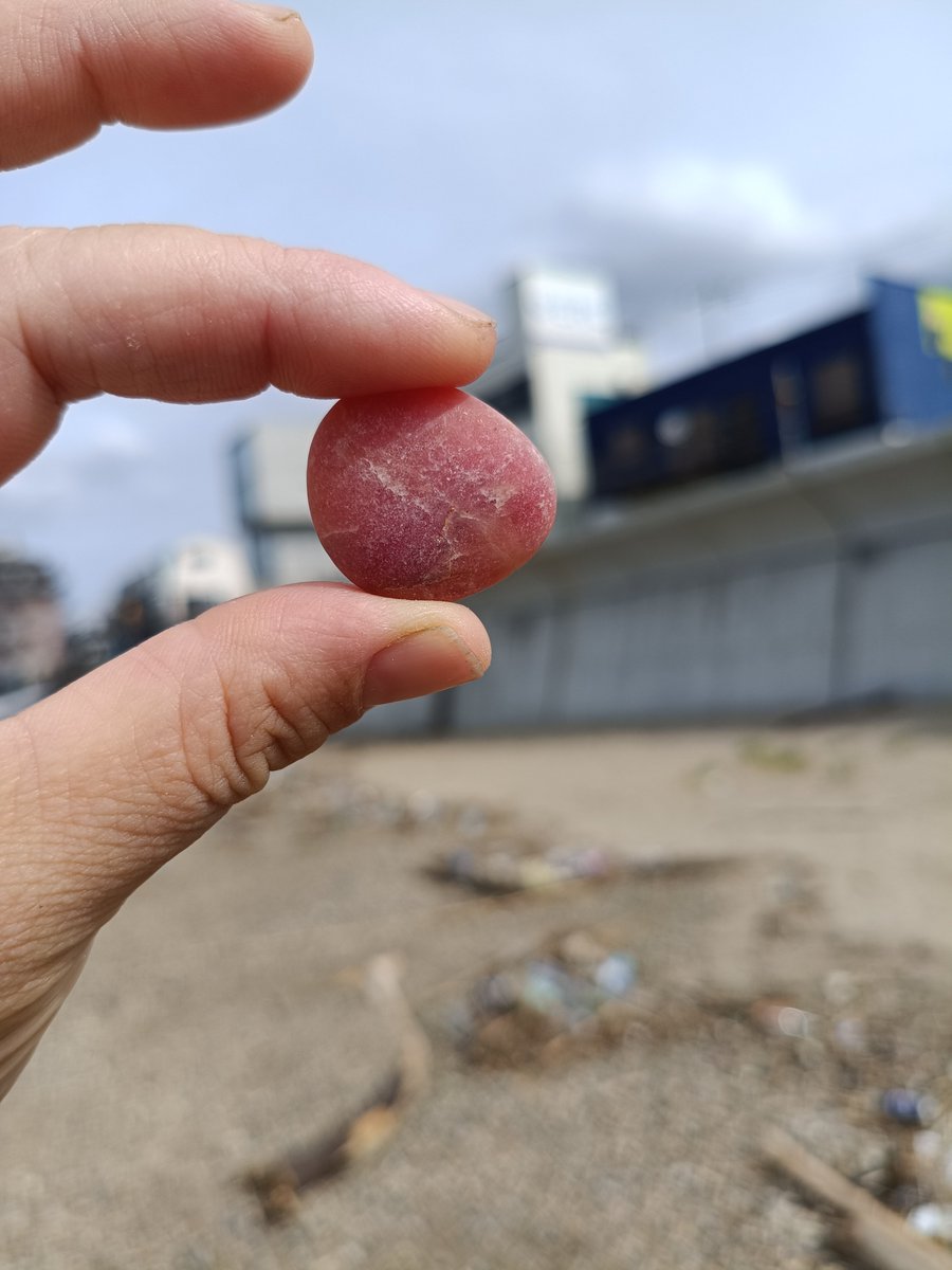 kinngyo517's tweet photo. 実家付近の海岸はクオーツ系やジャスパー系の石がよく流れ着くらしい。
確かに白色や黄色の透明感のある石があるなぁと思ってたんだよね。
写真はGoogleさんに質問しつつローズクォーツ(？)なのかなと思ったり。
見つけた時は思わず声が出たよね！
とっても素敵な宝物が増えました✨️ https://t.co/BoOIDDmbbw