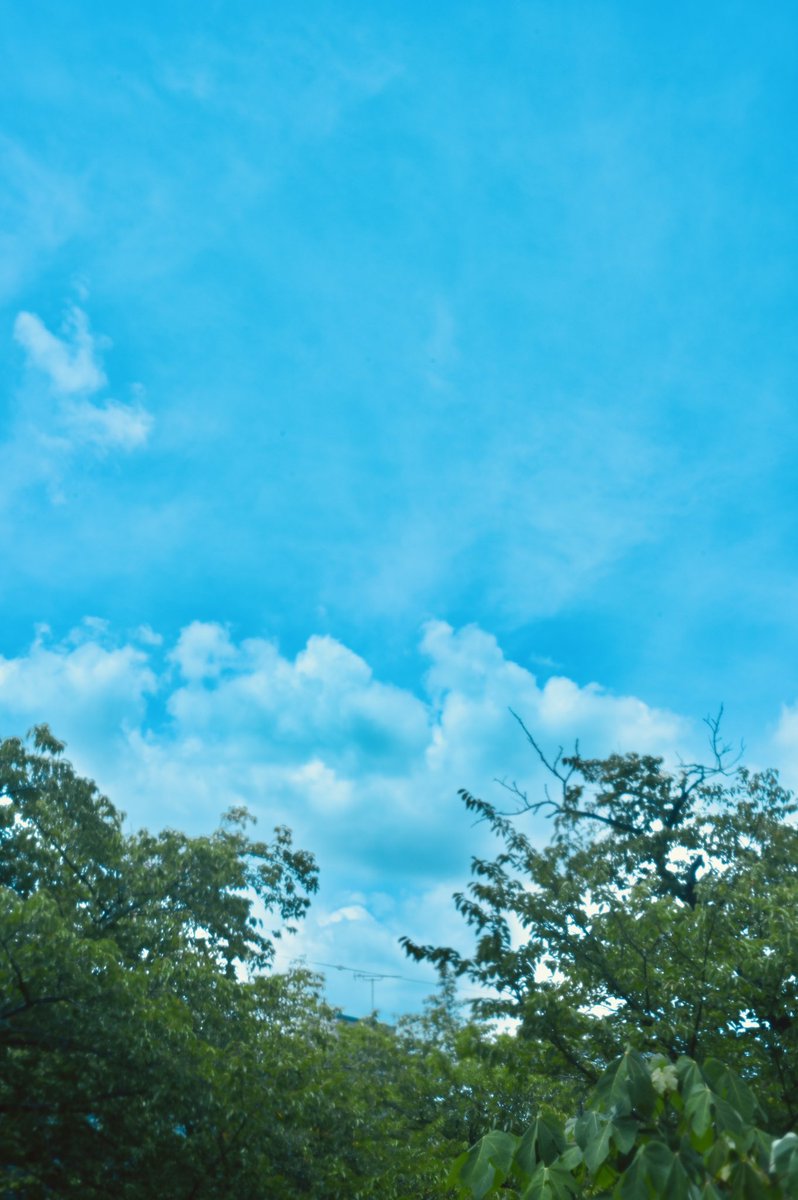 amespi_regular's tweet photo. #写真好きな人と繋がりたい 
#写真撮ってる人と繋がりたい 
#写真で伝える私の世界
#ファインダー越しの世界 
#キリトリセカイ
#photography https://t.co/3E3FhMdSsY