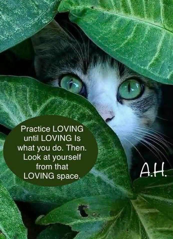 gethappeee's tweet photo. #AbrahamHicks β€
See your Self through the eyes of love and you'll see everyone else through that same vantage point. https://t.co/vOJ14CoiDG