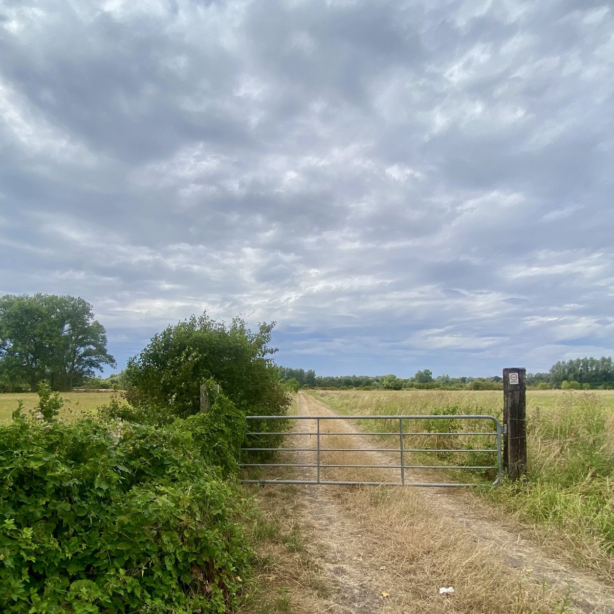 HendrikRemue's tweet photo. #vrtweer #weerfoto @Weerbord @MeteovistaBe @hetweerlokaal @HetweerinBelgie @weeronline @BuienradarBE @NoodweerBenelux @HendrikRemue 
Merelbeke‑Melle, 9/8, 15.00, https://t.co/Ff24jnpc4t