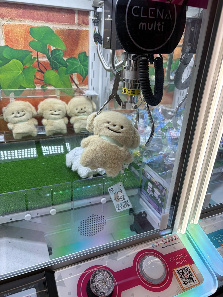 OBUNGUBMW's tweet photo. #しろいぬちゃんとちゃいぬくん 
しろいぬちゃんとちゃいぬくんお迎え！
立川ららぽーとにまだいた！
ちゃいぬくんは耳の隙間にアームが刺さって宙吊りに、、笑 https://t.co/Krt0PG7Vnj