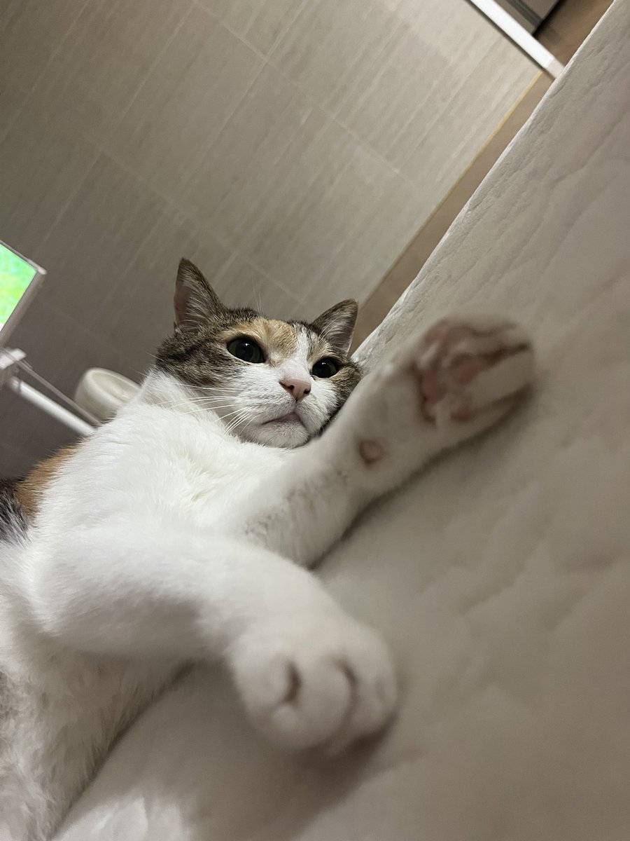 2pepperdiary's tweet photo. 멍때리기 https://t.co/4qpV2trSvU