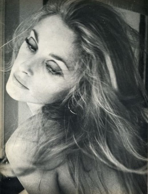 RuizVidal7's tweet photo. Sharon Tate sauvagement assassinée le 9 août 1969 à Los Angeles 💔💖✨ https://t.co/FlC02arySP