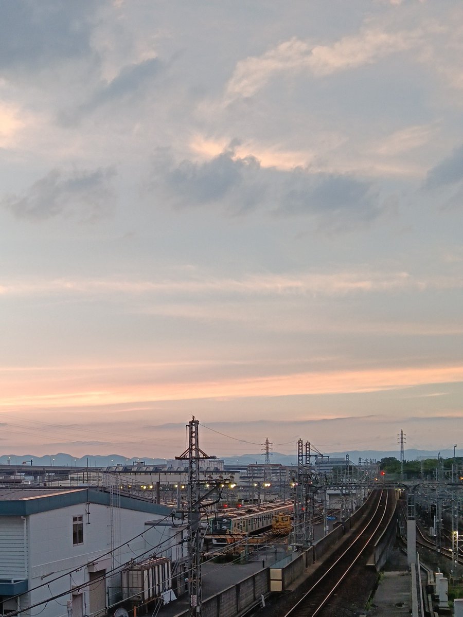 nekkolo's tweet photo. 買い物終えてお店出るとき、向かいからきた二人組の片方の人が、すれ違いざま一歩はいるなり「ああ！涼しい！ここにテントを張って…」っていうてはった。夏の夜に、スーパーでそんなこと言うてくれる人と出かけられんのんいいなあ。今度から私も心のなかで言おう。納豆、食パン、トマトを買いました。 https://t.co/91QF5jQnE4