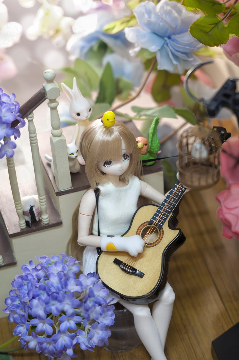 lijidw's tweet photo. #今夜のドール撮影120分一本勝負
🐦🎸🐰🐱🎶
#うちのこかわいい
#アゾカツ https://t.co/sF73G9BE0O
