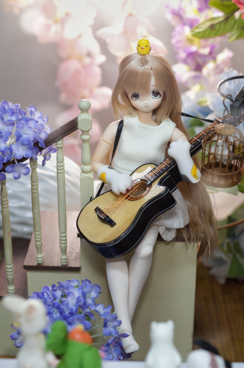 lijidw's tweet photo. #今夜のドール撮影120分一本勝負
🐦🎸🐰🐱🎶
#うちのこかわいい
#アゾカツ https://t.co/sF73G9BE0O
