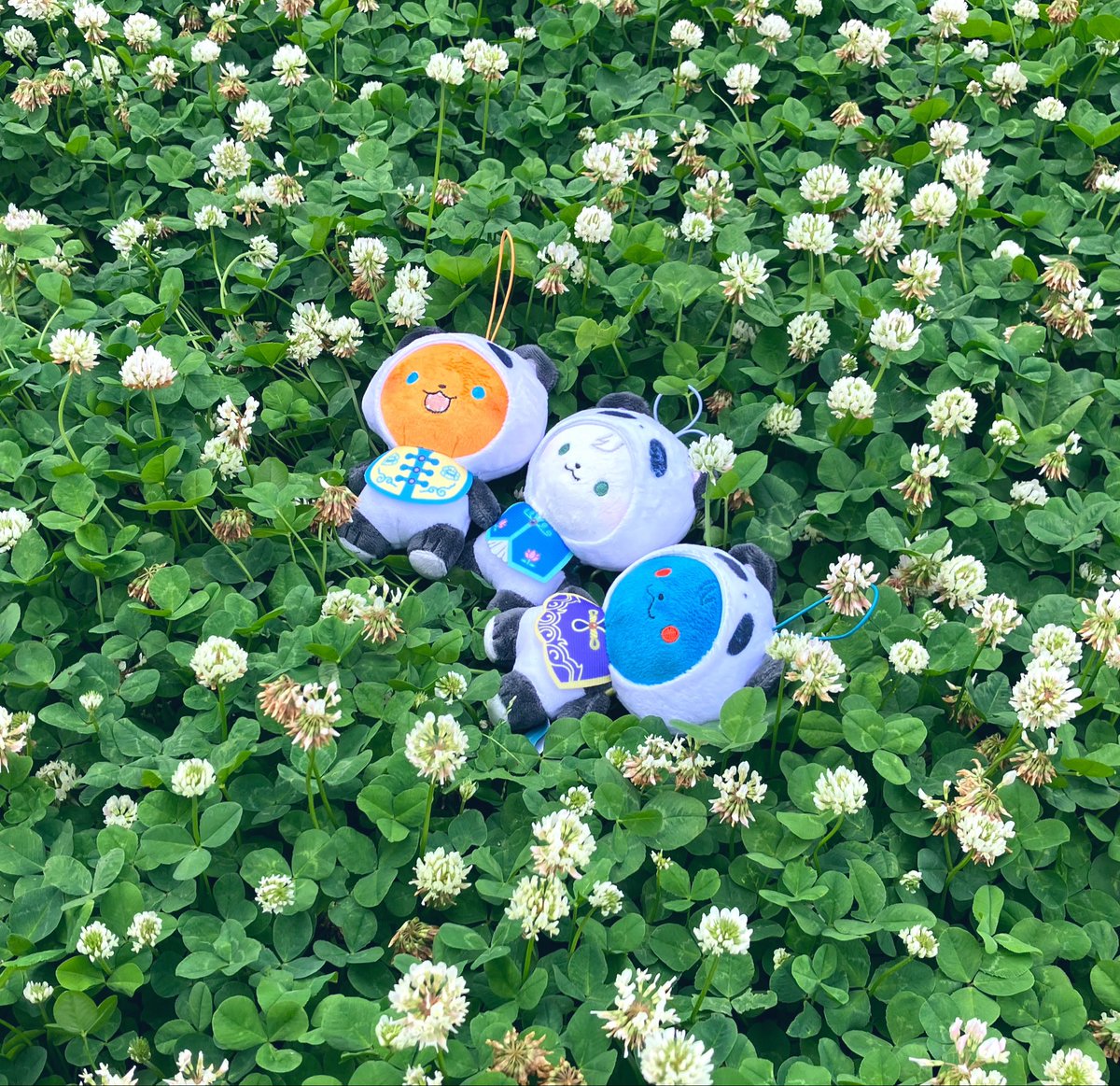 twomosaku's tweet photo. 🍀に寝そべる💤
#にじぱぺっとが見られるタグ
#さんくまが見られるタグ https://t.co/UVN7dAKKra