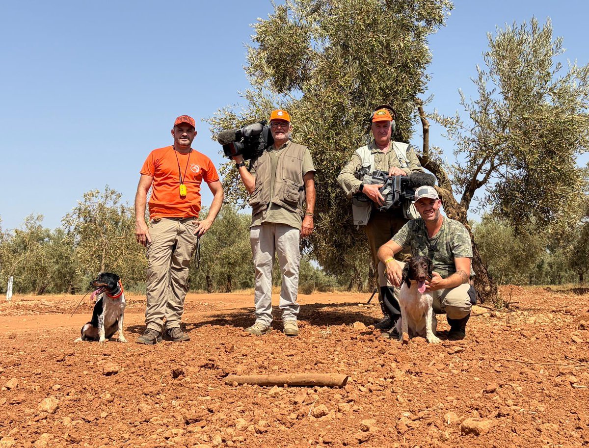 LancesCanalSur's tweet photo. Hoy ha arrancado la temporada de caza en Andalucía con el conejo y allí hemos estado para grabar. Una mañana calurosa y sin nada de aire, lo que dificultaba el que los perros pudiesen captar bien las emanaciones de los pequeños lagomorfos. @andaluciacaza https://t.co/8GleVybdXj
