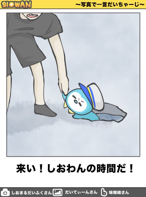 Shio5mm's tweet photo. ボケてパロ🦭🐧

#みるきーずお絵描き部 https://t.co/nprLefnm8y
