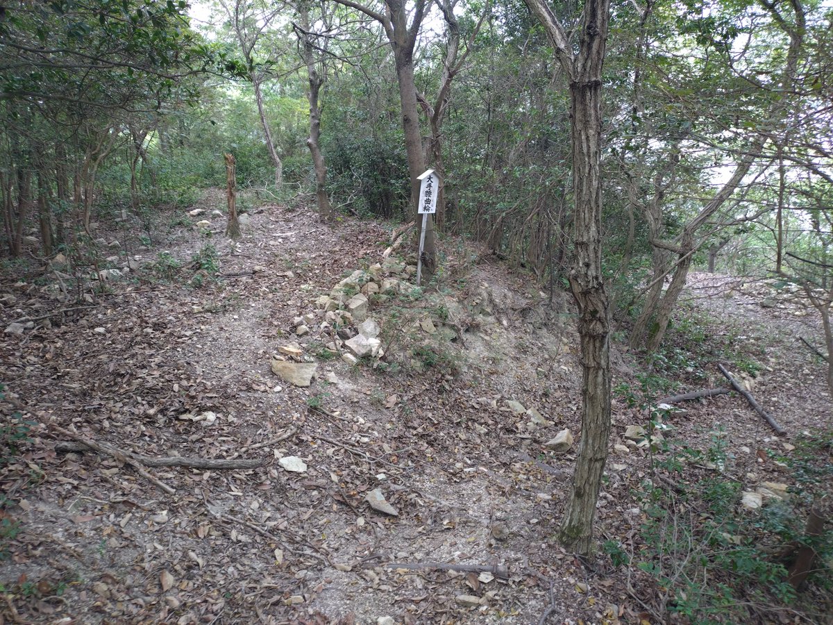 sleeping7cat1's tweet photo. 前山城跡（岡山県備前市）
マップに南から道があるように見えたので辿ったが、いわゆる直登。北側のグランド方面だと普通に道があった。
結構、見どころあった。
堀切、虎口、大手腰曲輪、片上湾 https://t.co/4rKU2RTHc6