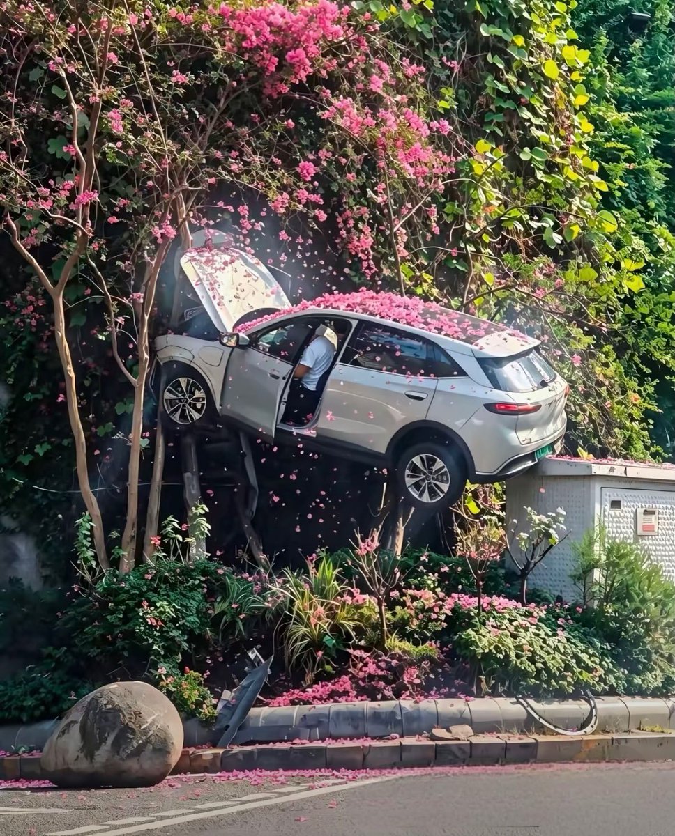rathor7_'s tweet photo. I swear I've never seen this beautiful &amp; aesthetic ACCIDENT before https://t.co/VhjIcLflre