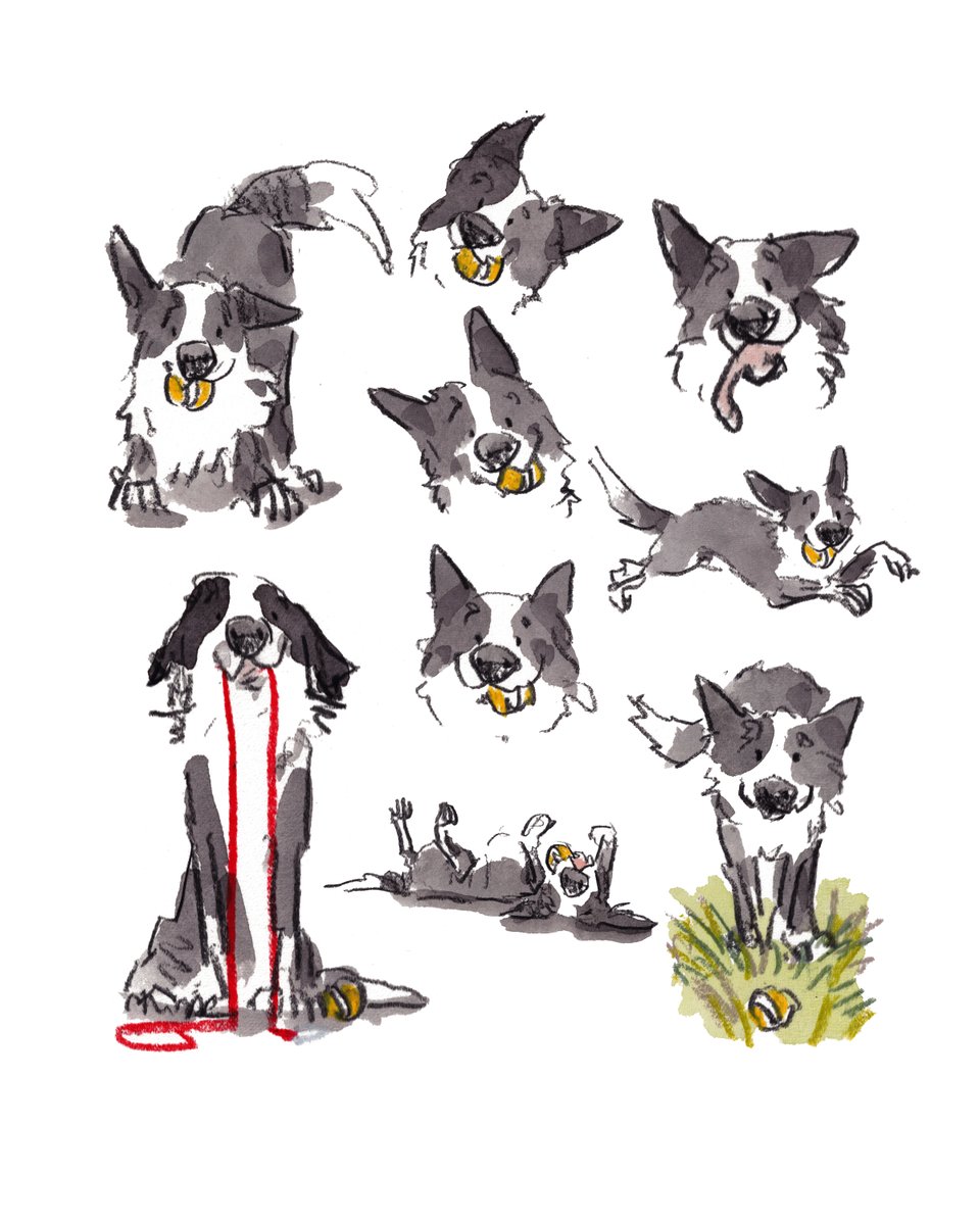 iaindwelch's tweet photo. Hello, lovely people and lovely dogs.
I hope that you are having a lovely day.
If I can tempt you with one of my collie prints, here is the link for you https://t.co/FNr8pai0HC
I'm wishing you the very best.
#hoorayfordogs #bordercollie https://t.co/X4AJgpgtIW