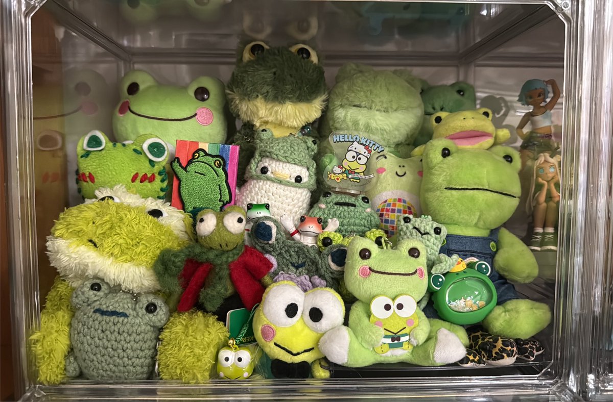 hach1sung's tweet photo. lowkey this photo is made for me because i have a very very dedicated frog shrine ive been collecting since 2020 #ilovefrogs https://t.co/6A9gdOor7o
