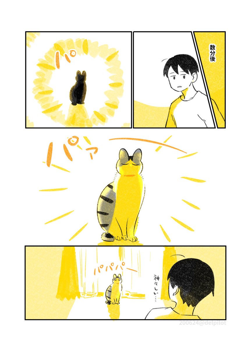 delpilot's tweet photo. 猫と暮らしてる日記まとめ(1/4)
日に当たる猫 https://t.co/jxQhBEsX43
