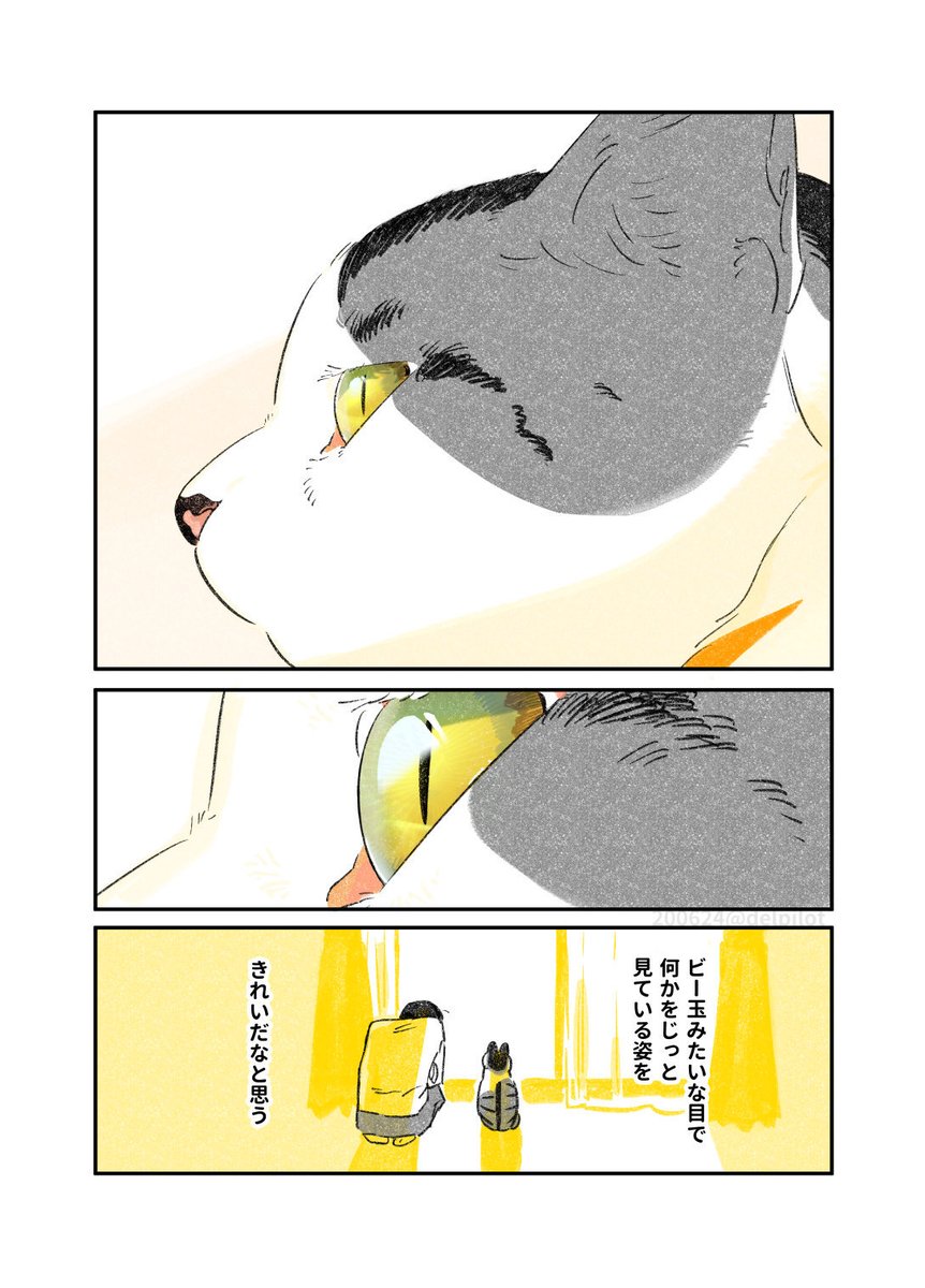 delpilot's tweet photo. 猫と暮らしてる日記まとめ(1/4)
日に当たる猫 https://t.co/jxQhBEsX43