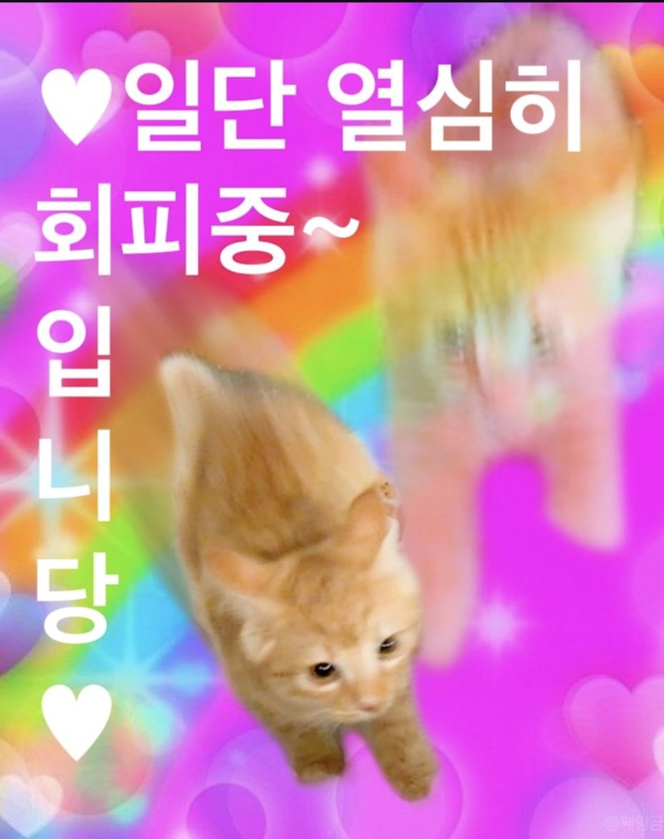 s1xnvk's tweet photo. https://t.co/J0L3XNme18