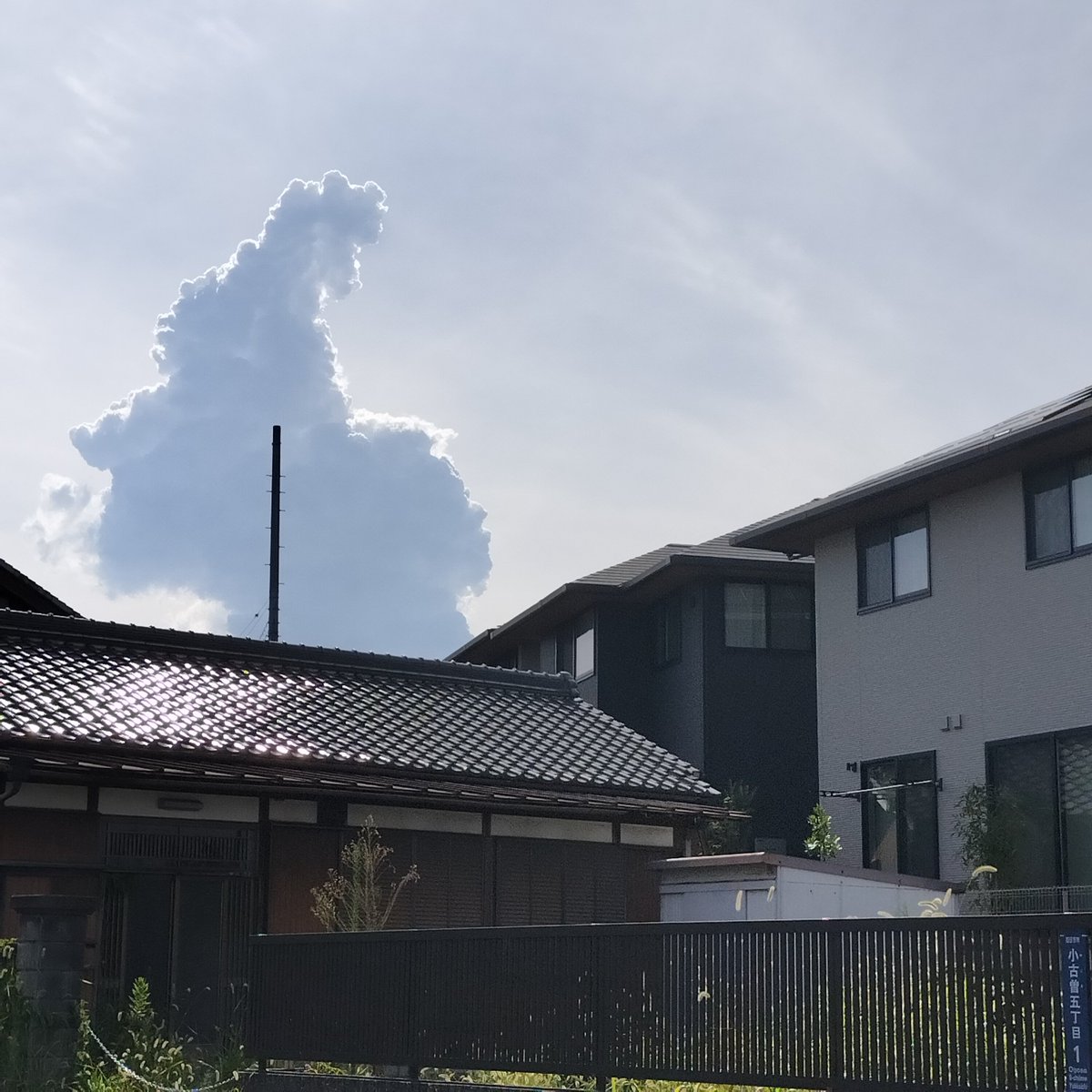 sasuke_takesan's tweet photo. 2026/08/09
突如現れたゴジラ雲‼️ https://t.co/wUMxWnVkG2