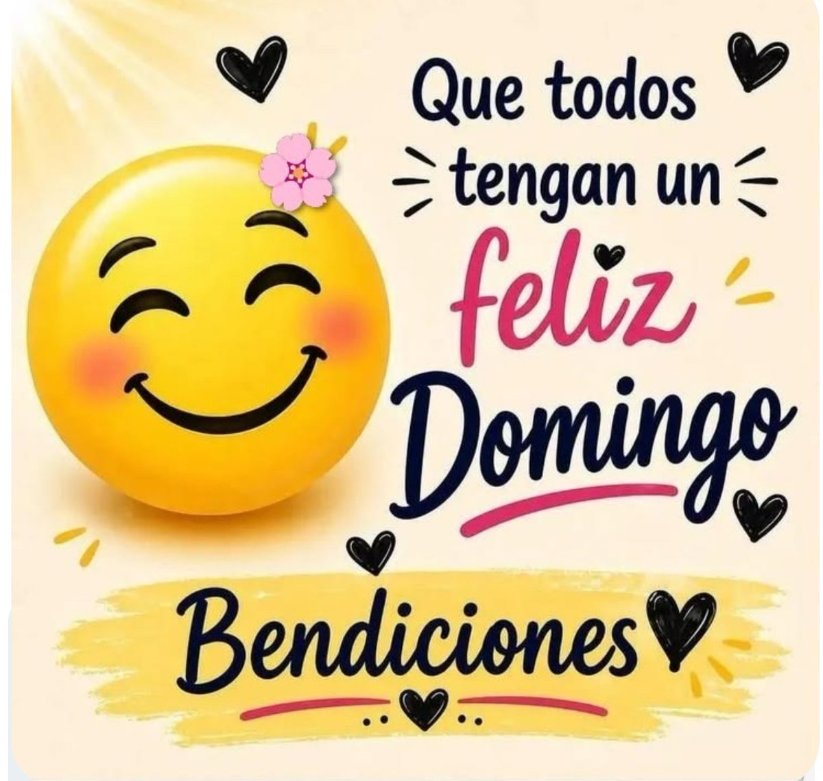 mony_bea_'s tweet photo. Domingo de sol, de paz y de agradecer hoy. Que nada te falte 🌸

#FelizDomingo
#Bendiciones https://t.co/zJkQpkpJU1