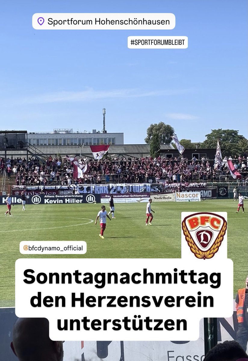 renelauberlin's tweet photo. Sonntagnachmittag im #Sportforum beim Herzensverein @BFCDynamo
#fananwalt #beimfananwalt #sportforumbleibt #meistermüssenaufsteigen https://t.co/xOdo79g7KR