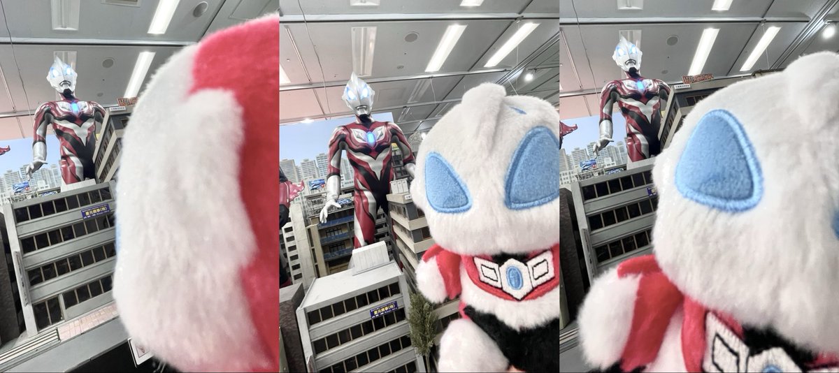 SPAM_o6's tweet photo. ウルサマの思い出だ https://t.co/BRe22mJyBa