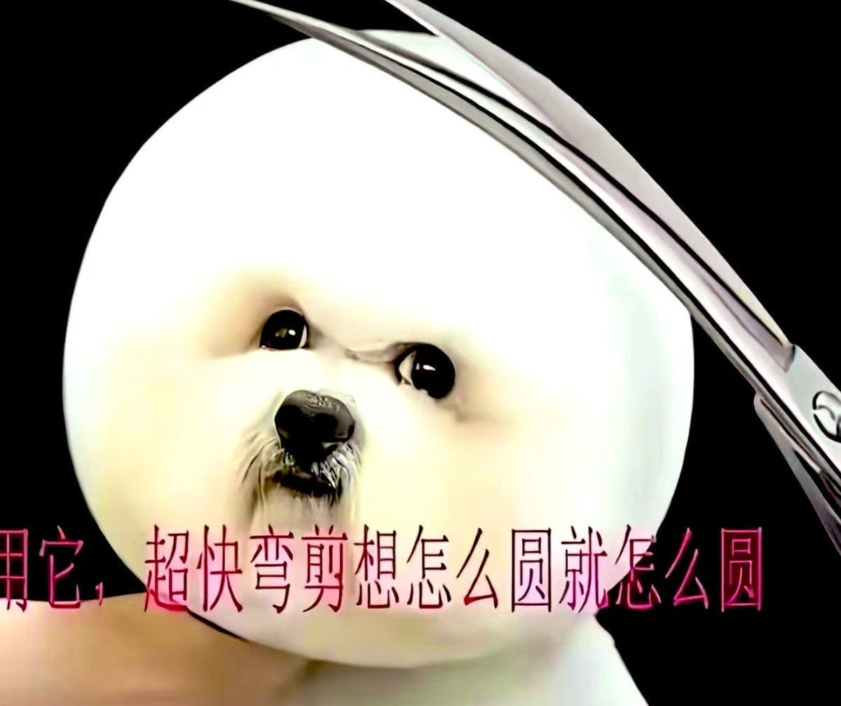 badfriendchen's tweet photo. 我也可以养一只这样的狗吗 https://t.co/wA2lMiPJad