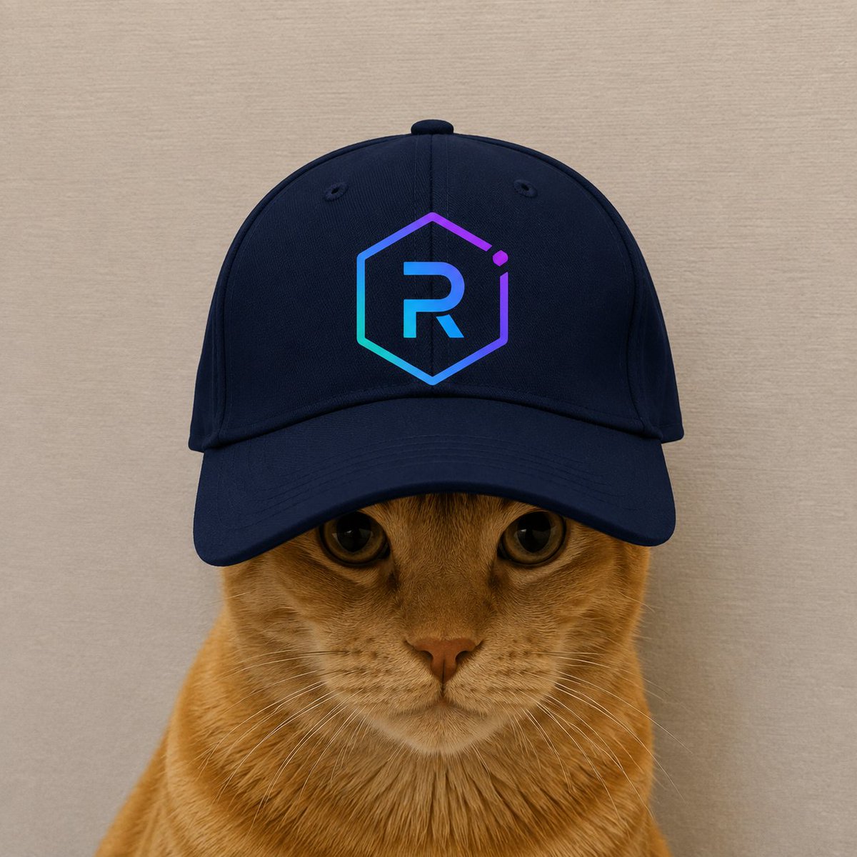 TheAuraBird's tweet photo. Wait raydium wants an animal runner on there platform

and we literally haven't had a runner on there in years

it's time to send $Cap

a simple and non complex cute animal meme
https://t.co/UhpR5TYSwp https://t.co/Nm7jm4Llan