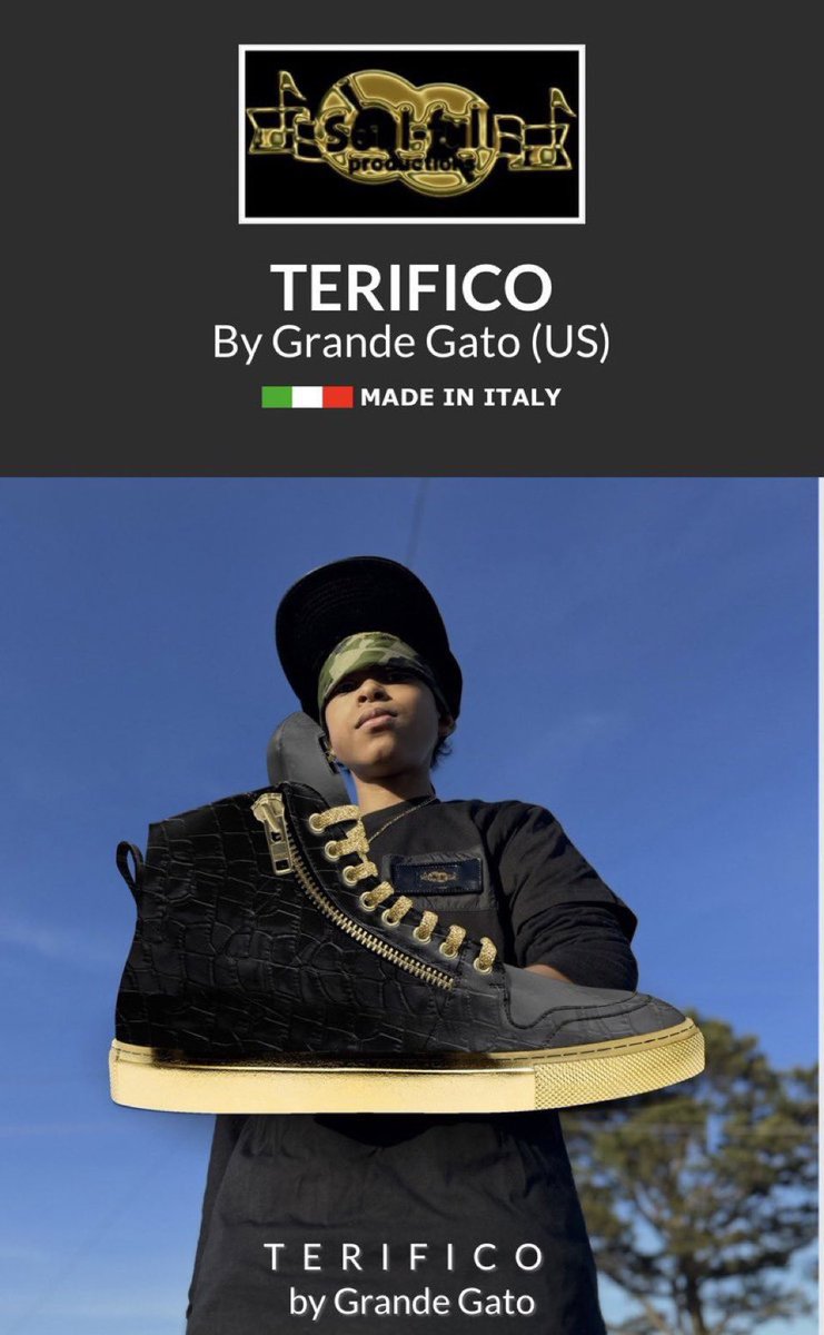 pocoperro1's tweet photo. NEW 2024 ZIP UP HIGH TOP LEATHER SNEAKERS, “TERIFICO”, from me POCO PERRO #pocoperro #newsneaker #terrific #teensoul #teensoulceo #shoes2024 https://t.co/zN3BaTquAx https://t.co/fEPxvFjcsd