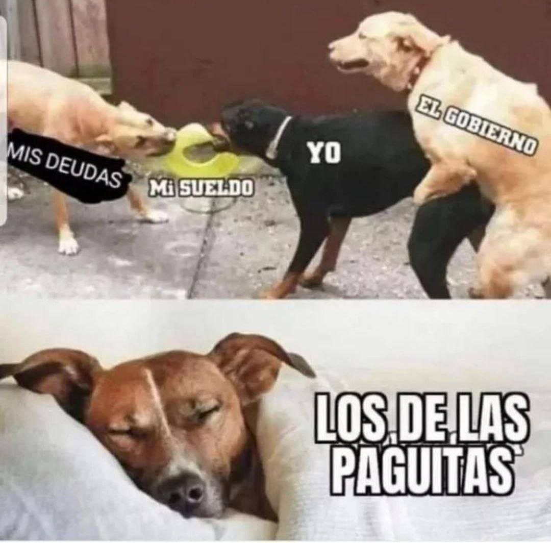 PepeDGI's tweet photo. @antihacienda https://t.co/GWvWnIxFEo