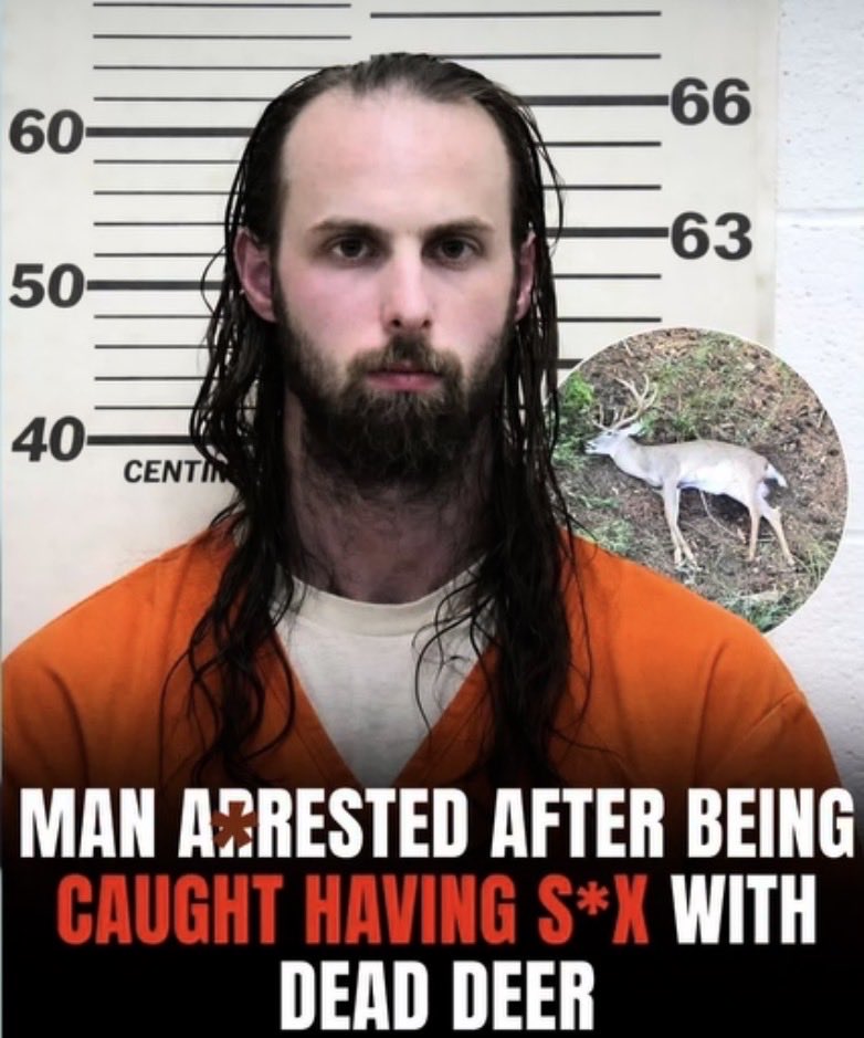 Jgciil's tweet photo. @Eezzrraa33 @adkinsfight All yall do is fuck kids and animals https://t.co/BVTitvQzGR