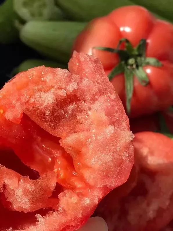 zhai_019's tweet photo. Just had a taste test of the new organic cherry tomatoes—burst with juicy sweetness, zero weird aftertaste, perfect for salads or snacking!  Highly recommend grabbing a pack if you love fresh, vibrant produce.， https://t.co/LsISJhhEXU