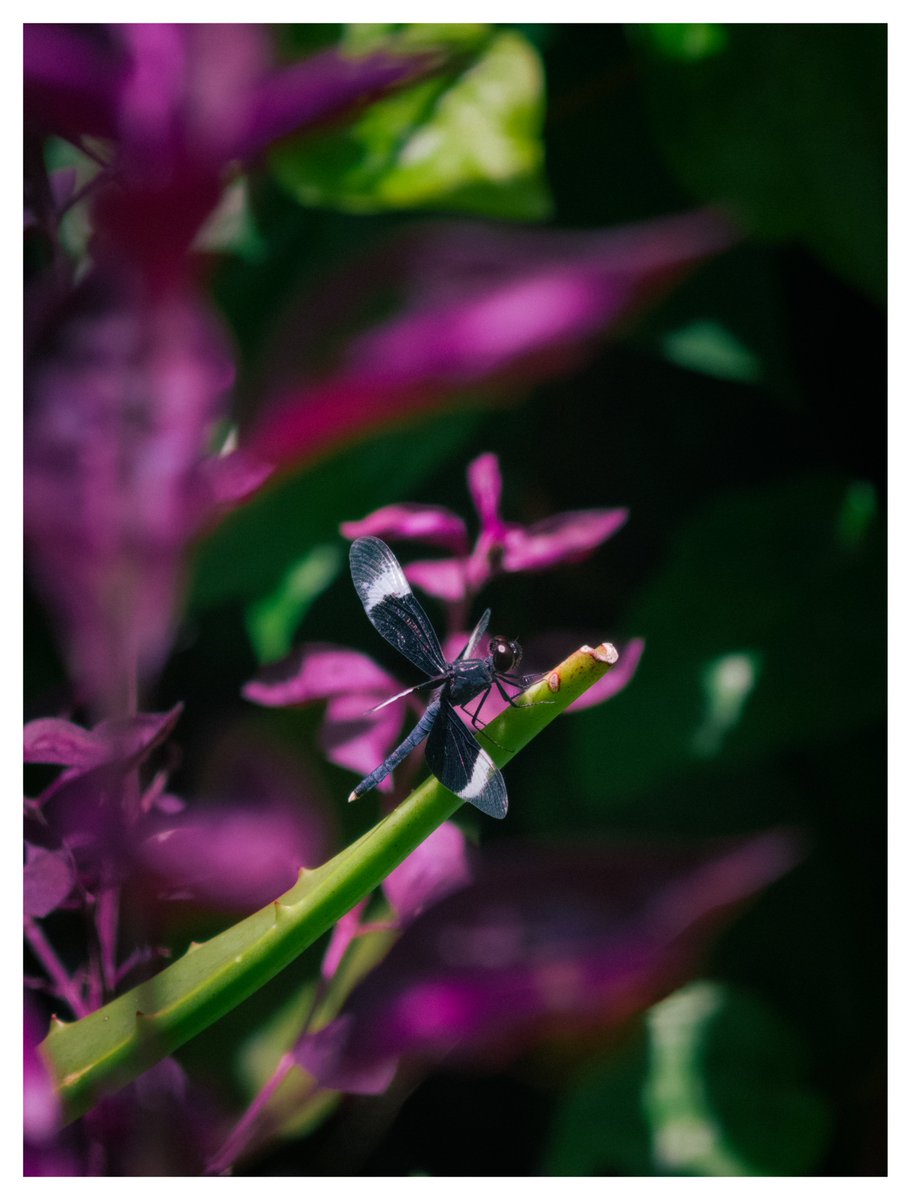gokull_krrish's tweet photo. Quick pitstop
#ShotonOppo #FindX9Pro https://t.co/nzRwsdpCZp