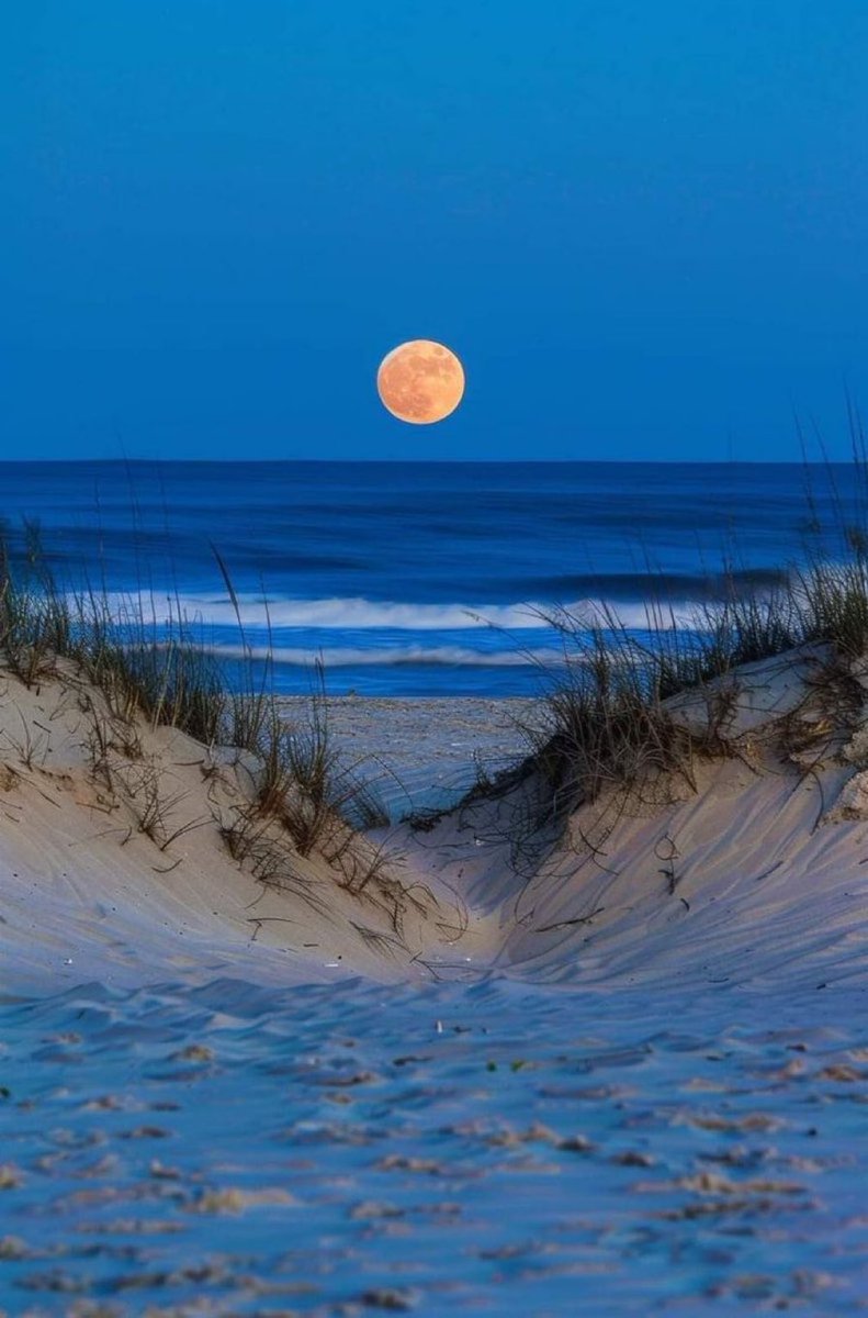 M1ONLOVER's tweet photo. Ocean Moon https://t.co/C3F9bkbtHR