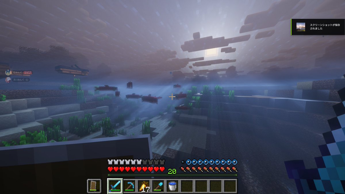 dppzc's tweet photo. 影modでマインクラフト覚醒‼ https://t.co/a7jfKG4eya