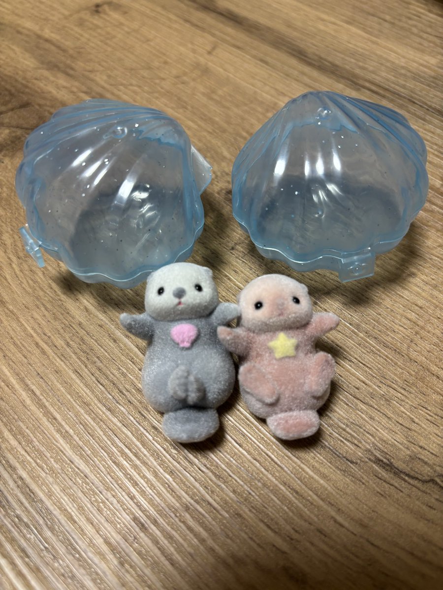 Mmimth1Milk's tweet photo. ちょっとシルバニアみたいで可愛い🦦
これで1回200円なのありがたい
#ラッコ https://t.co/hcEzRUnZJO