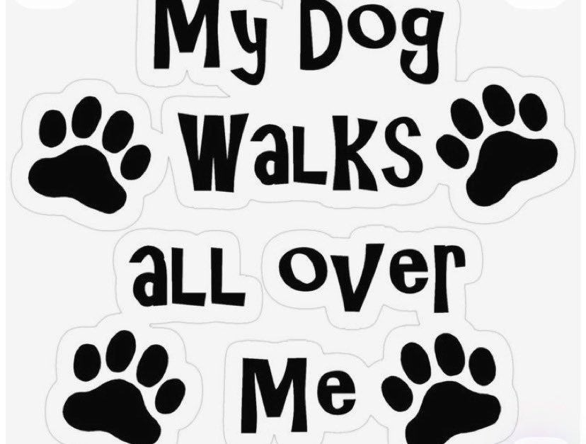 milena_shantel7's tweet photo. Private. Exclusive. Worth it.
Only those inside get to see it.
Your invite is below. ❤️
Join now ⬇️
📍 https://t.co/0dHEtE0949
#Pawlovers #NoLimit #artofzoo #horsecock #straphardcore #dogwhore #k9dildos #creampiesex #zoophiles #K9spoilers https://t.co/u9CyZKdTOh