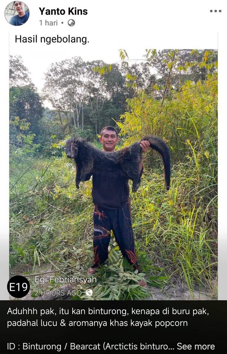 rasndeso's tweet photo. Binturong, satwa dilindungi kena buru https://t.co/328MzrkMu7