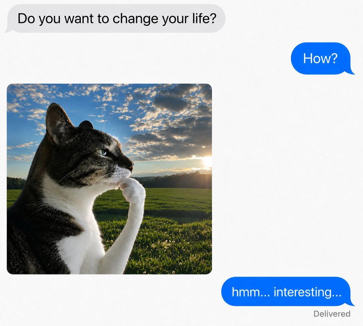 thinkingcatRH's tweet photo. you must start think if you want ot change your entire life https://t.co/sKizAUfwlt