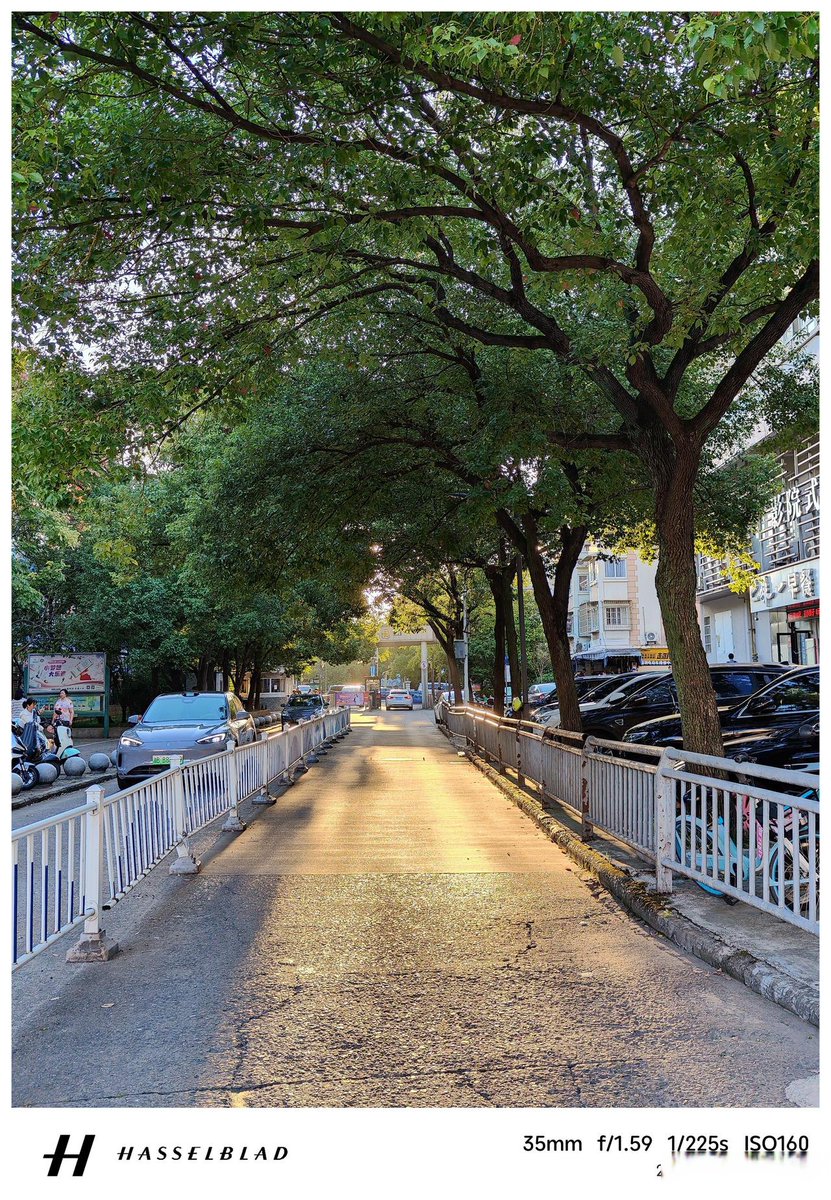CarolJMora's tweet photo. Just caught this golden hour glow on a rainy city side street—wet asphalt turning every street sign into a tiny light prism https://t.co/RdKRgu9V9D