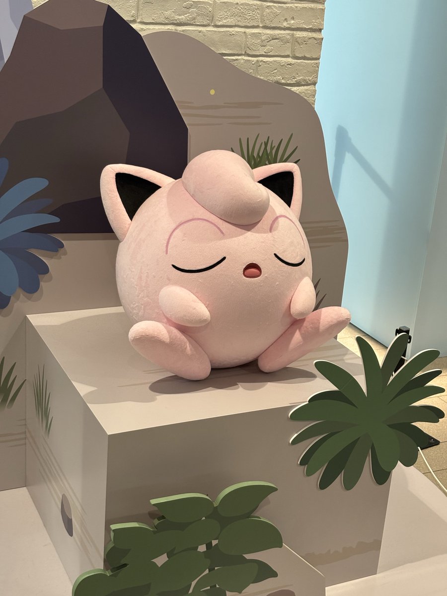 bumobm's tweet photo. ポケスリ展
みんな寝ててかわいかった😴😴😴😴 https://t.co/sRoYAQgXqq